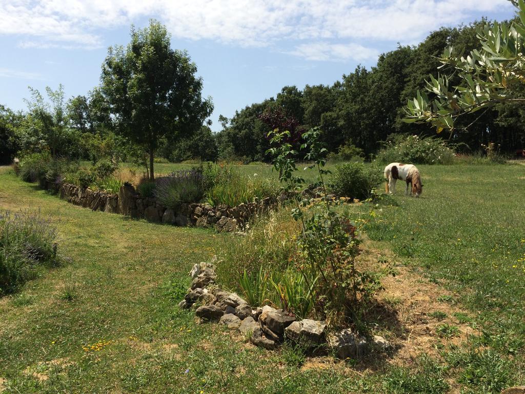 Agriturismo Palareta Montecatini Val di Cecina Exterior foto